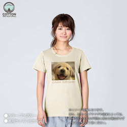 送料無料☆【Tシャツ】ゴールデンレトリバーの子犬 5.6oz Cotton:100% 6枚目の画像