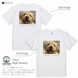 送料無料☆【Tシャツ】ゴールデンレトリバーの子犬 5.6oz Cotton:100% 7枚目の画像