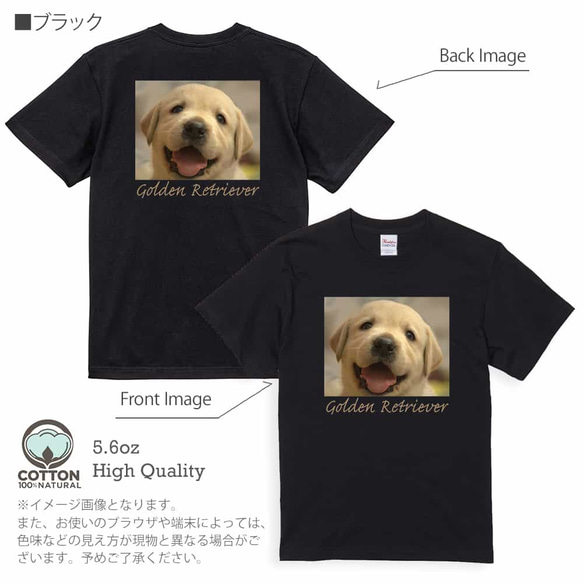 送料無料☆【Tシャツ】ゴールデンレトリバーの子犬 5.6oz Cotton:100% 8枚目の画像