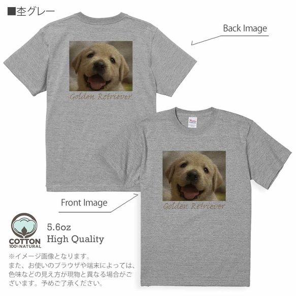 送料無料☆【Tシャツ】ゴールデンレトリバーの子犬 5.6oz Cotton:100% 9枚目の画像