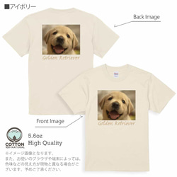 送料無料☆【Tシャツ】ゴールデンレトリバーの子犬 5.6oz Cotton:100% 10枚目の画像