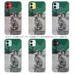 iPhone17/iPhoneAir/iPhone17Pro  全機種対応☆TPUケース ヘミングウェイの猫とは… 9枚目の画像