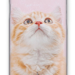送料無料 iPhoneケース・カバー 見上げる猫 猫 iPhone12 mini iPhone12 Pro 5枚目の画像