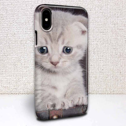 送料無料 iPhoneケース・カバー 子猫アップ 猫 iPhone12 mini iPhone12 Pro 1枚目の画像