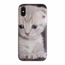 送料無料 iPhoneケース・カバー 子猫アップ 猫 iPhone12 mini iPhone12 Pro 3枚目の画像