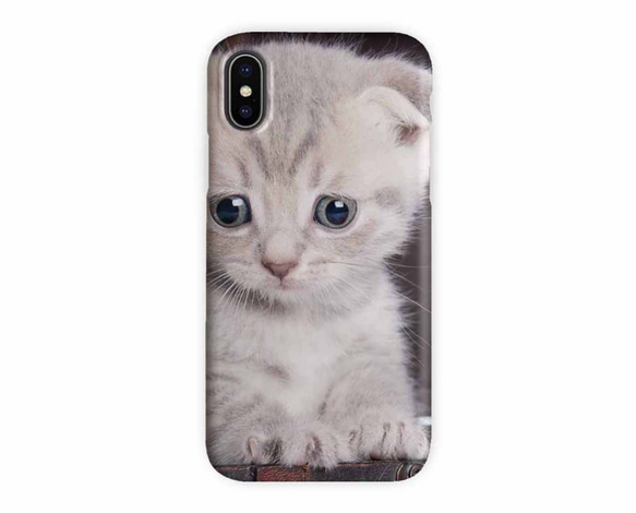 送料無料 iPhoneケース・カバー 子猫アップ 猫 iPhone12 mini iPhone12 Pro 3枚目の画像