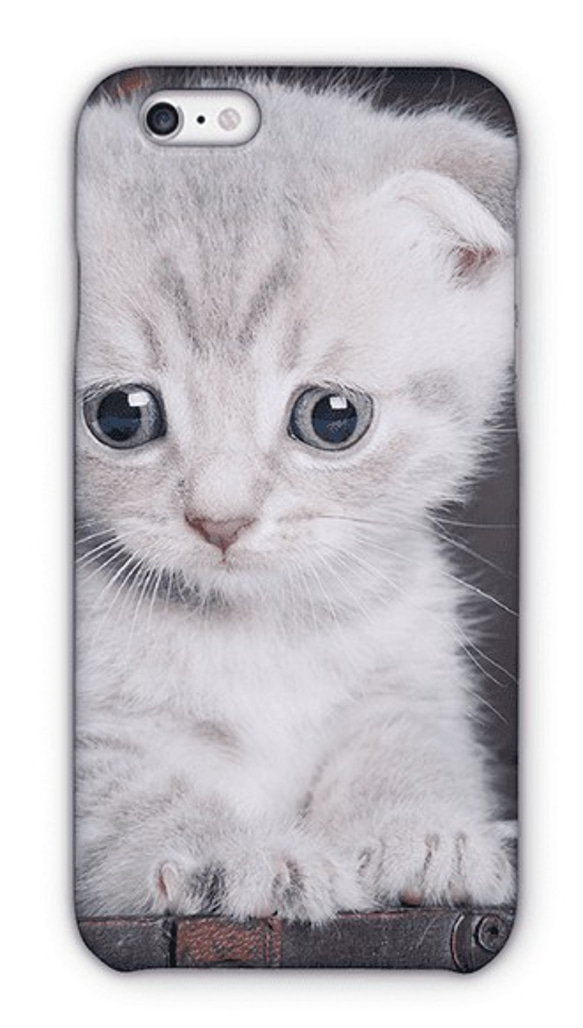 送料無料 iPhoneケース・カバー 子猫アップ 猫 iPhone12 mini iPhone12 Pro 5枚目の画像