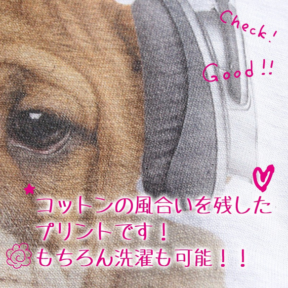 送料無料☆【ドライTシャツ】柴子犬だってNo Music No Life 5枚目の画像