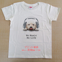 送料無料☆【ドライTシャツ】ゴールデンレトリバー子犬だってNo Music No Life 3枚目の画像