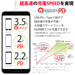 超高速充電対応モバイルバッテリー QuickCharge3.0 10000mAh アメリカンショートヘアの刻印 3枚目の画像