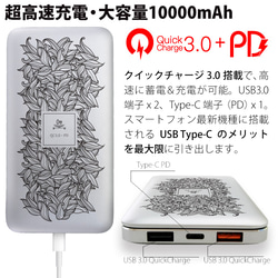 超高速充電対応モバイルバッテリー QuickCharge3.0 10000mAh ナチュラルデザイン 5枚目の画像