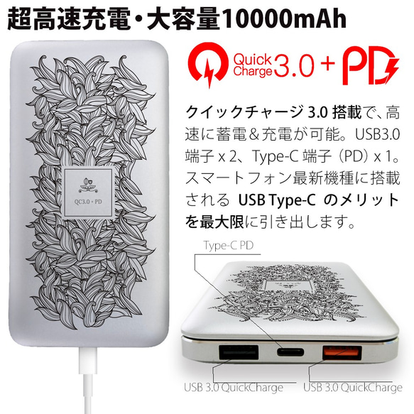 超高速充電対応モバイルバッテリー QuickCharge3.0 10000mAh ナチュラルデザイン 5枚目の画像