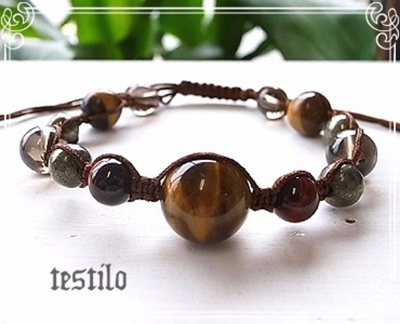 testilo Tiger Eye Leslet de-08-04 第4張的照片