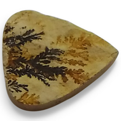天然石松石枝晶（Dendrite）露絲（凸圓形）st-st-29 第2張的照片