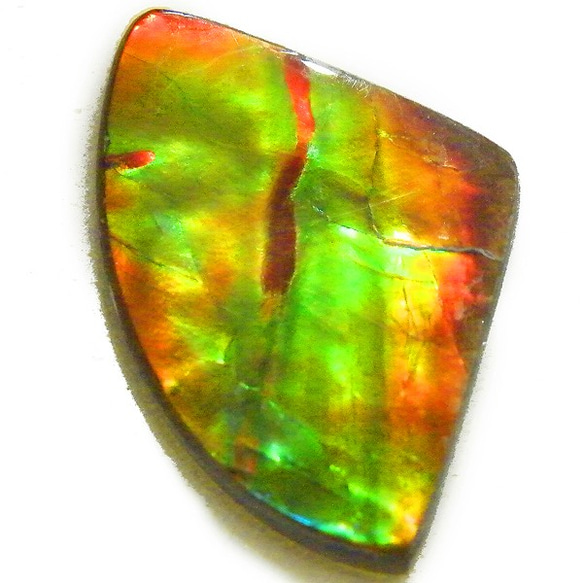 天然石Ruth限定項目Ammolite（Ammolite）三重鬆散gs-cs-8036 第2張的照片