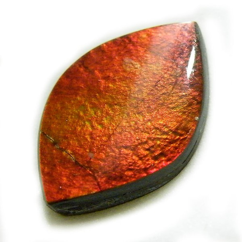 アンモライトルース 天然石ルース限定品 アンモライト(Ammolite) トリプレット ルース gs