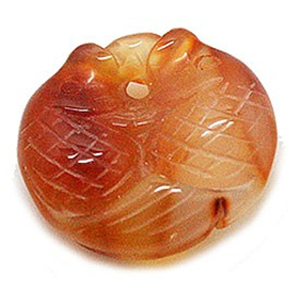 天然石材零件紅玉髓（carnerian）魚圖案零件ti-pa-1351 第1張的照片