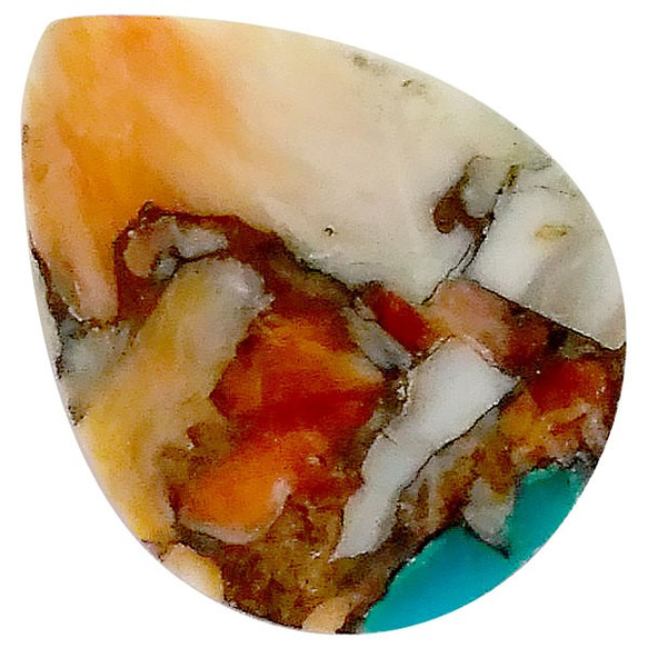 Copa Oyster Turquoise Loose（cabochon）st-st-203 第3張的照片