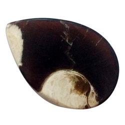 天然石　ルース裸石　ピーナッツウッドジャスパー(Peanut Wood jasper)　st-st-437 3枚目の画像