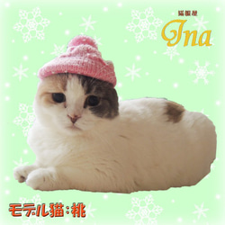 猫のニット帽子 アラン模様のブリム付き 5枚目の画像