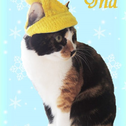 猫のニット帽子 アラン模様のブリム付き 4枚目の画像