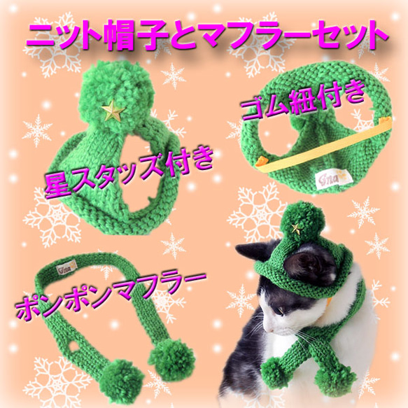 猫用☆ニット帽＆マフラー☆緑 3枚目の画像