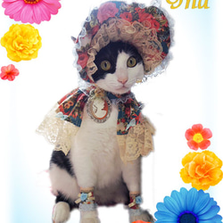 猫用ドレス　ボンネット＆ケープ　青 2枚目の画像
