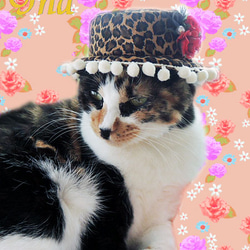 猫用☆ハット帽子☆レオパード 3枚目の画像