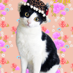 猫用☆ハット帽子☆レオパード 4枚目の画像