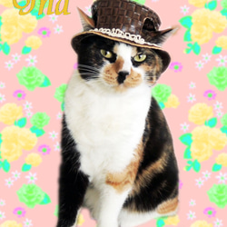 猫用ハット帽子　ナチュラルブラウン 4枚目の画像