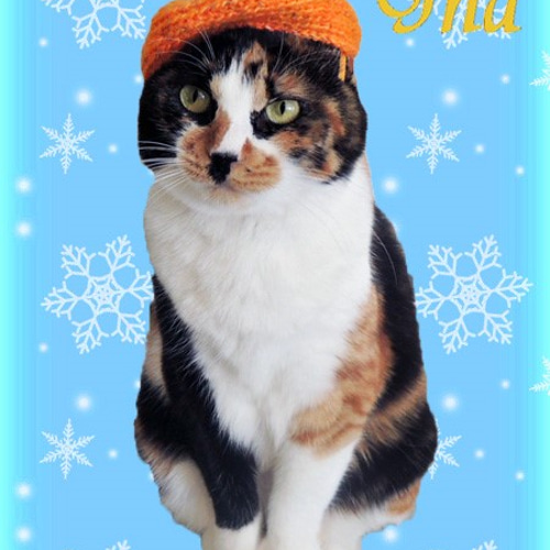 猫用 ベレー帽 オレンジ ペット服・アクセサリー 猫服屋Jna 通販