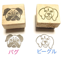 ◎ワンコはんこ【シーズー】2.5×3㎝ 3枚目の画像