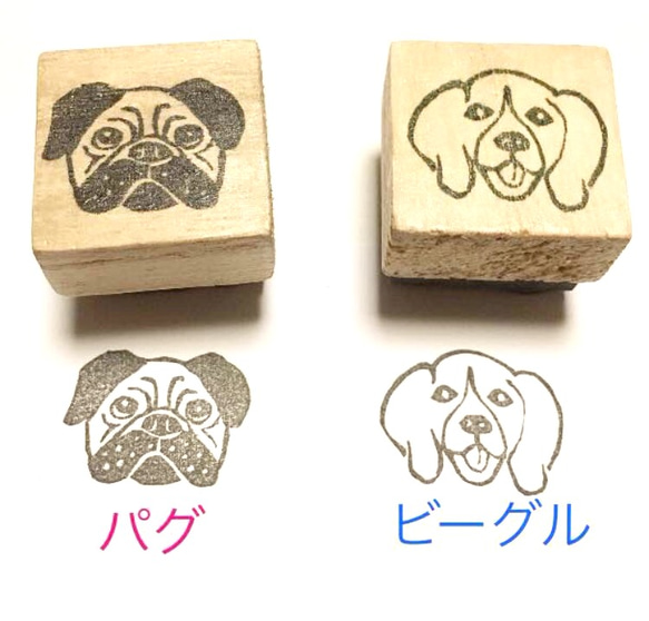 ◎ワンコはんこ【シーズー】2.5×3㎝ 3枚目の画像