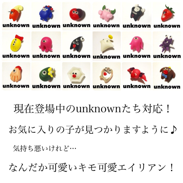 950円☞ゆらゆら揺れるunknownピアス 4枚目の画像