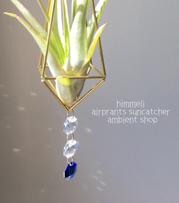 himmeli airprants suncatcher エアプランツサンキャッチャーヒンメリ【受注製作】 1枚目の画像