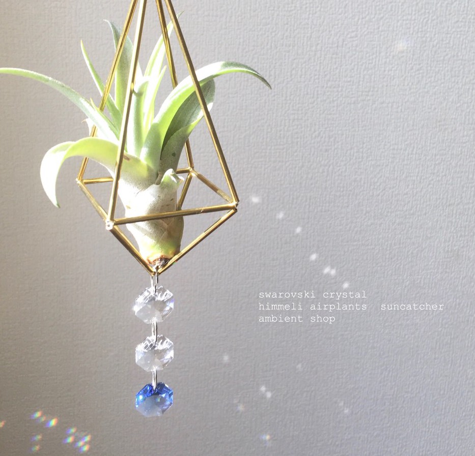 北欧ヒンメリ エアプランツ  サンキャッチャー 受注製作