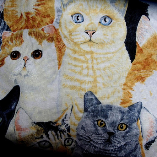 ○○お羊屋USAコットン最新猫柄名古屋帯新品 和装小物（帯・半襟） お 