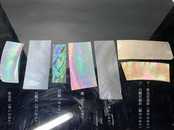 2個セット 夜光貝 天然貝殻 両面磨き 数量限定 インテリア