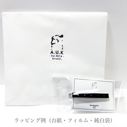 《Lacquer/Raden》閃爍光漆領帶別針 第5張的照片