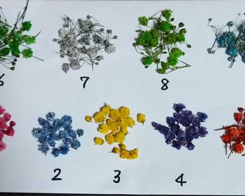 3色セット かすみ草ドライフラワー【ガラスドーム レジン用】 その他