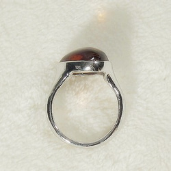 琥珀とSV925のリング（リングサイズ：9.5号、ロジウムメッキ、アンバー） 7枚目の画像