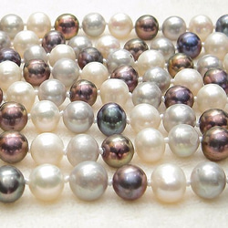 200cm,8mm 本真珠（淡水）のロングネックレス（マルチカラー、オールノット、ホワイト、シルバー、パープル） 5枚目の画像