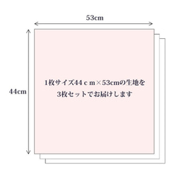 人気生地セット！『カットクロス3枚セット　Fruit　フルーツセット』～でカット～ 2枚目の画像