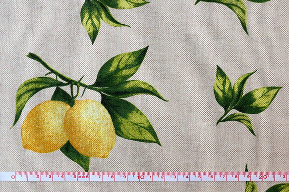 新柄入荷！ヨーロッパ輸入『B&B FABRICS　レモン生地　140㎝巾』～50㎝単位でカット～ 2枚目の画像