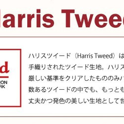 お洒落な冬支度に『Harris Tweed 　ハリス・ツイード　アップルグリーン』～ラベル1枚付き 48㎝単位でカット～ 6枚目の画像