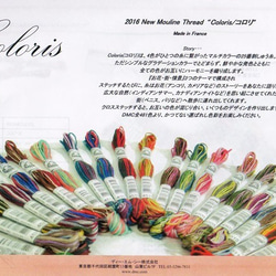 再入荷！フランスより『DMC社の刺繍糸 Cololis コロリ 25番糸 グラデーション６本セット』～Bセット～ 7枚目の画像