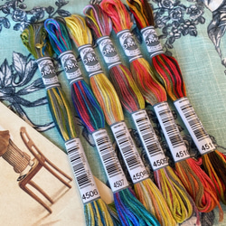 再入荷！フランスより『DMC社の刺繍糸 Cololis コロリ 25番糸 グラデーション６本セット』～Bセット～ 1枚目の画像