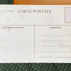 新商品！『フランス　トゥールーズ(ヴィオレット)　すみれの花束　ポストカード』～同柄2枚セット～ 2枚目の画像