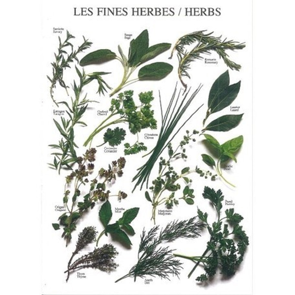 新柄入荷！フランスより♪『Herbs　フレッシュなハーブ　ポストカード』～ 同柄2枚セット～ 1枚目の画像