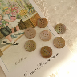 イタリア製♪　　『珍しい8つ穴　茶蝶貝ボタン』　～18㎜～ 3枚目の画像